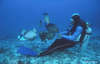 Beqa Lagoon Resort 